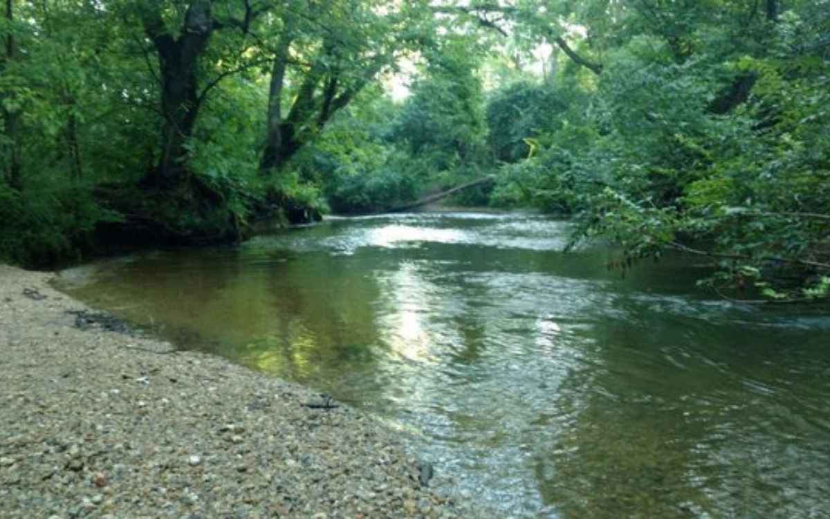 Lloyd Park